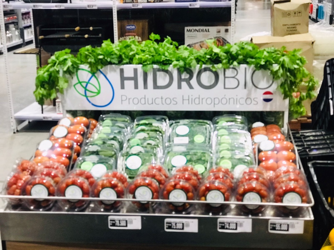HidroBio retail display at an Asunción supermarket — packaged tomatoes with electronic shelf-label price tags